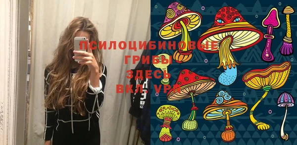 индика Верхнеуральск