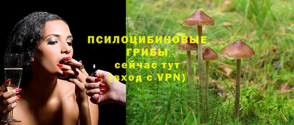 прущая мука Верея