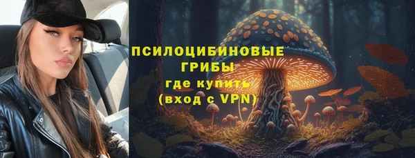 хмурый Верхний Тагил
