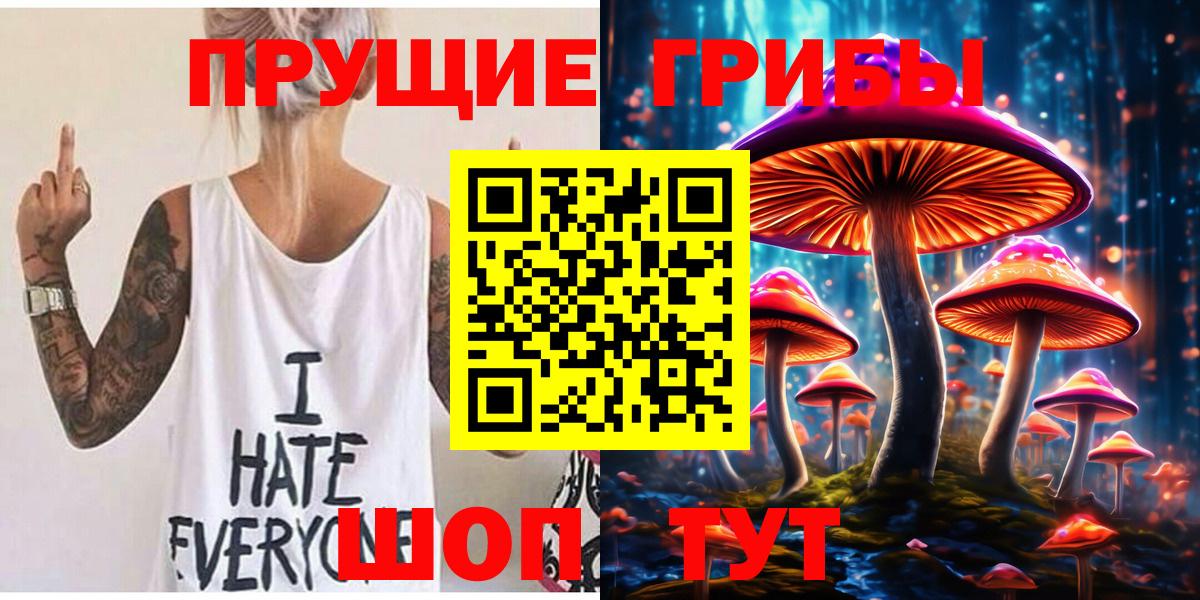 Галлюциногенные грибы Psilocybe Можайск